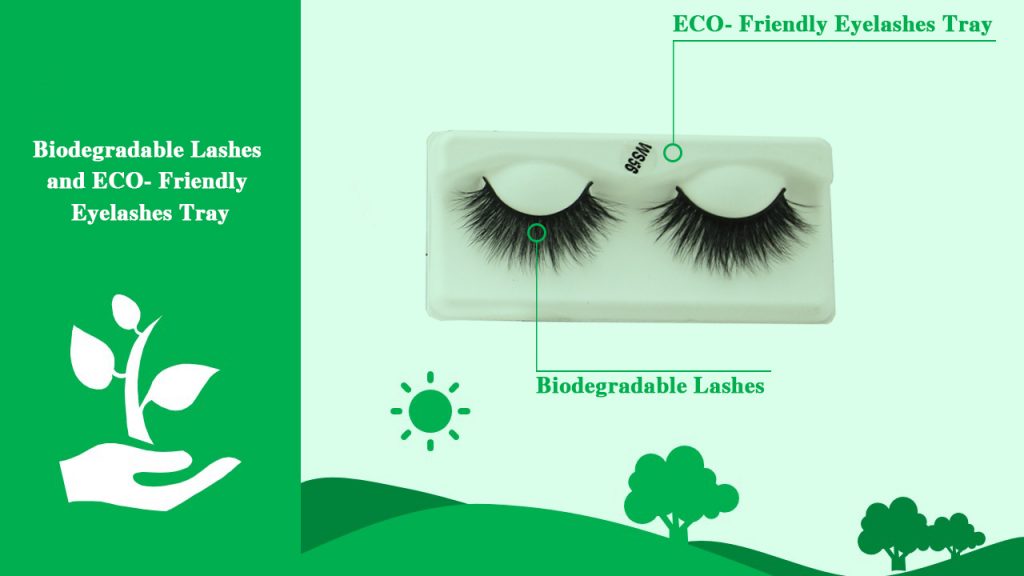 A Revolution in Cosmetics: Biodegradable Lashes and ECO- Friendly Eyelashes Tray &Package 4 Biodegradable Lashes